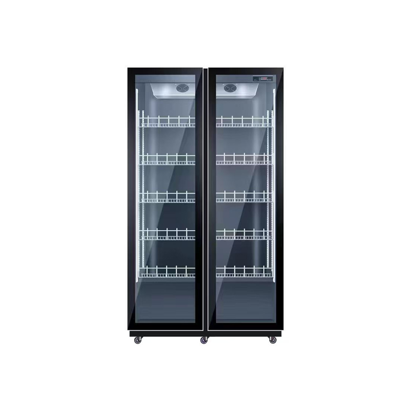 両開きエアコン付き冷蔵庫飲料陳列キャビネット調整可能棚ワイン - Wine Beer Dual Zone のレビューと価格